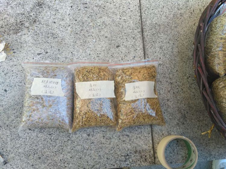 “超聲波處理對稻谷表面微生物的影響”發(fā)表論文啦！！