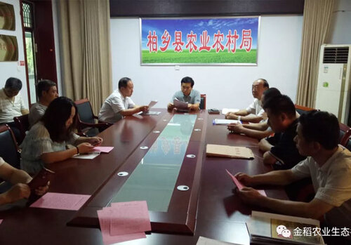 河北省邢臺市兩縣玉米試驗田測產